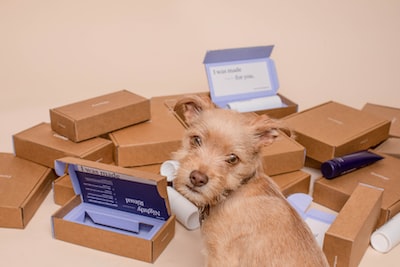 Quelles sont les raisons pour lesquelles il faut s’abonner à une box mensuelle ?