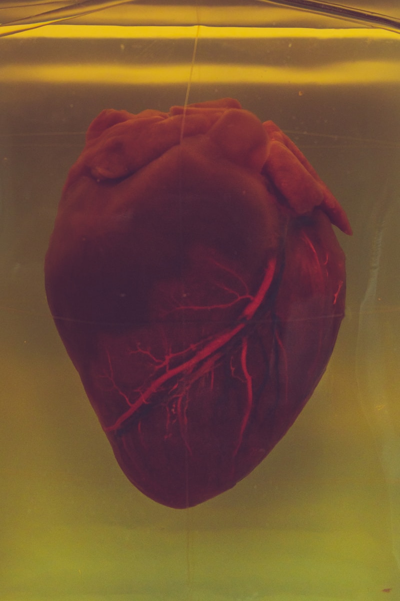Palpitations cardiaques : symptômes, facteurs de risque et méthodes de diagnostic efficaces